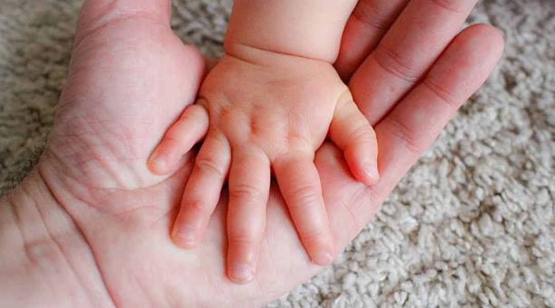 Hablemossobreadopcion